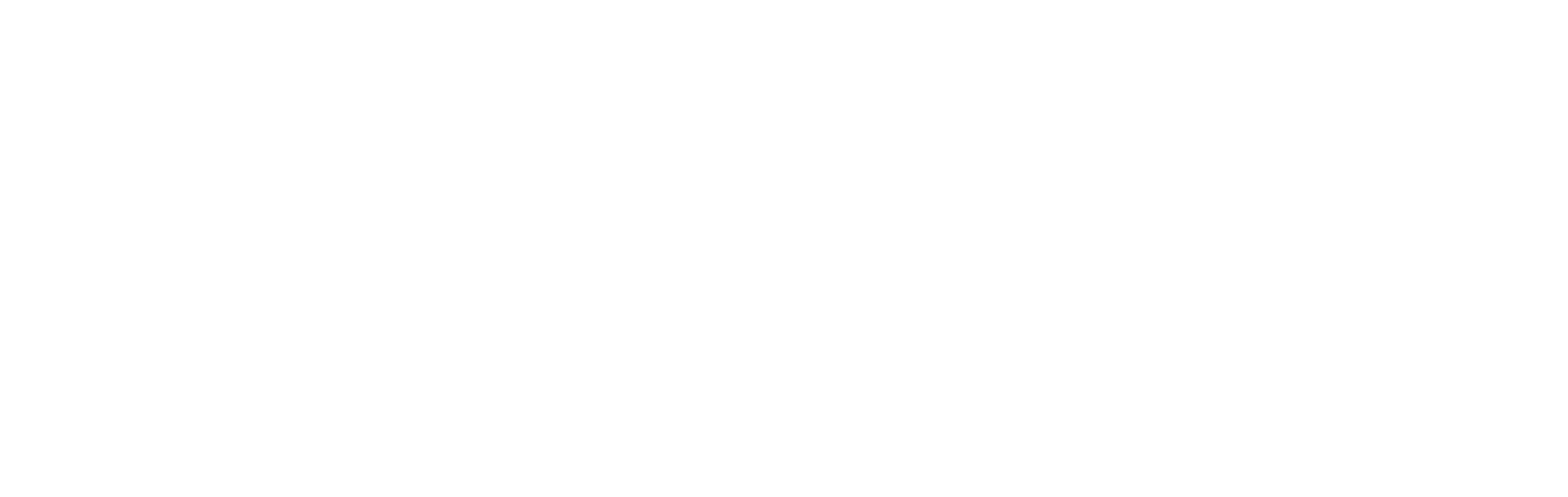 Orange Business Solution